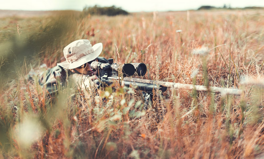 shoot